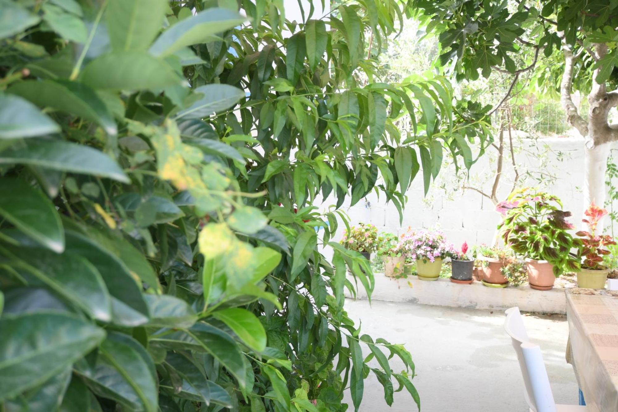 קסאמיל Apartament Luani חדר תמונה